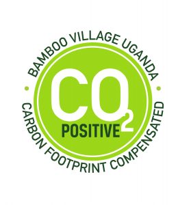 BVU CO2 positive
